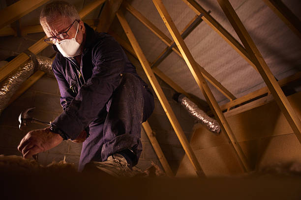 Best Insulation Materials and Products in Napili Honokowai, HI